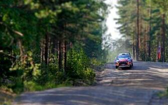 Forest Road Wallpaper