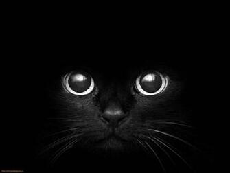 Black Cat Eyes Wallpaper Blue Yellow Green Red