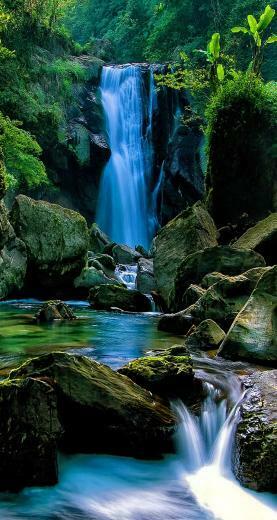 iPhone Nature Wallpaper 5s