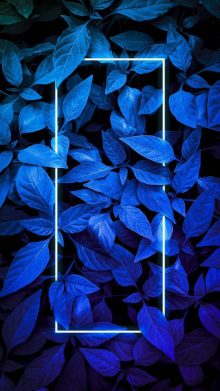 Leaves iPhone Wallpaper