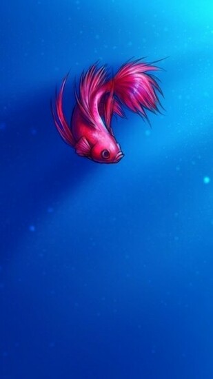Samsung Galaxy S3 Wallpaper HD Beautiful Stunning