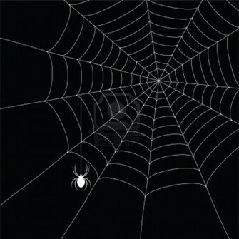 White Spider And Web Isolated On The Black Background