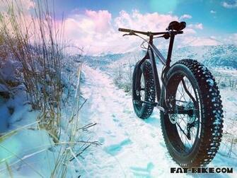 Wallpaper Wednesday Golden Colorado Fat Bike