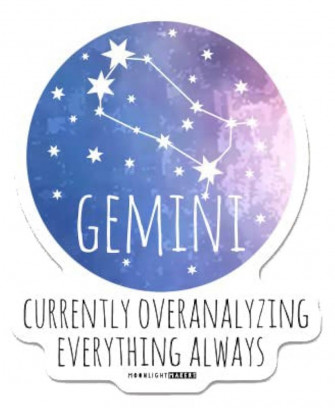 Amazon Funny Astrology Zodiac Signs Die Cut Bumper Stickers