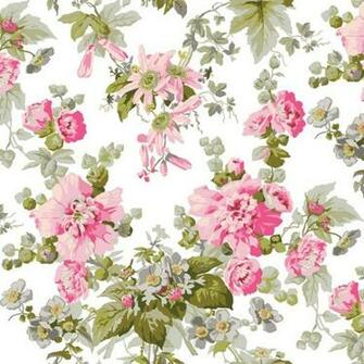 Marilyn Mcildoon On Precious Papers