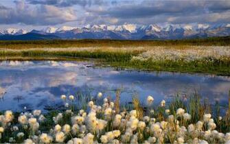 Wallpaper Landscape Windows