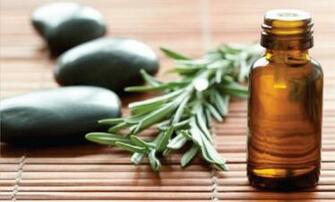 The Stillroom Using Essential Oils With Children