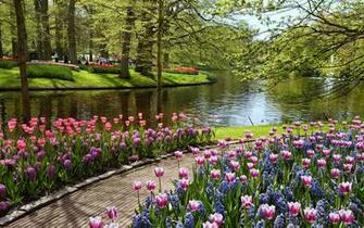Beautiful Summer Garden Wallpaper HD Desktop And Mobile Background