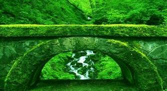 Most Beautiful Forest Wallpaper The Art Mad
