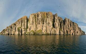 Bird Cliff Alkefjellet Svalbard Spitsbergen Archipelago Norway