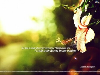 Miss You Wallpaper