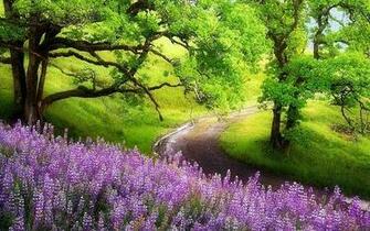 Journey Through Spring Countryside On A Rainy Day Wallpaper