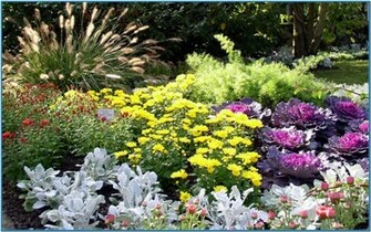 Wild Flowers 3d Screensaver And Animated Wallpaper