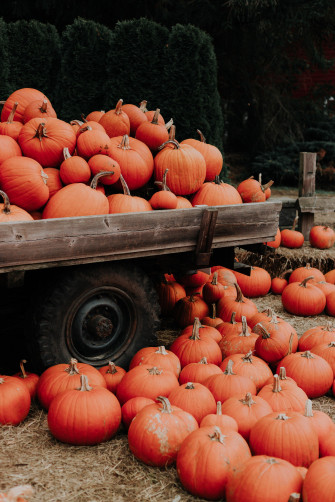 Fall iPhone Wallpaper Popsugar Tech