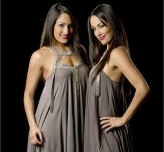 High Quality Desktop Wallpaper Of The Bella Twins