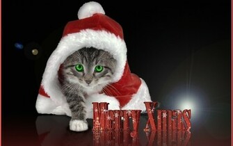 Christmas Kitten Wallpaper Grasscloth