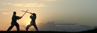 Karate Fight Wallpaper