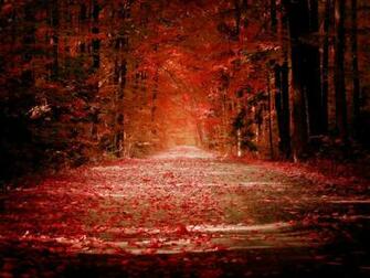 Beautiful Fall Landscapes HD Wallpaper