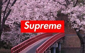 Supreme Background Background For