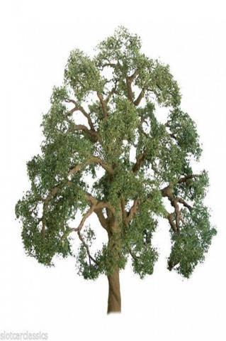 Jtt Scenery Professional Series Live Oak Tree Pk Ho