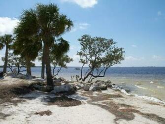 Sunset Beach Taropn Springs Florida Wallpaper
