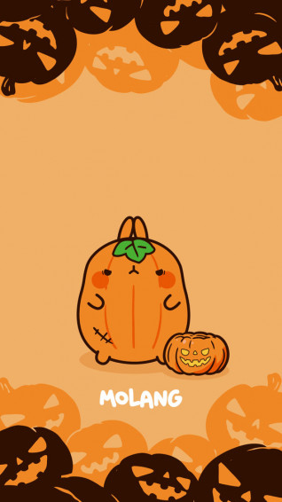 Molang Halloween Wallpaper Discover The Pumpkin Of