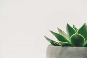 Simple Minimalist Wallpaper