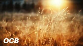 Peaceful Morning Relaxing Instrumental Music