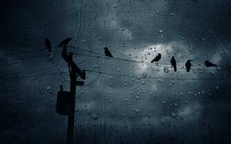 Most Beautiful Rainy Season Photography For Wallpaper