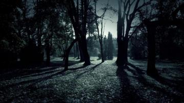 Shadows Wallpaper HD Net