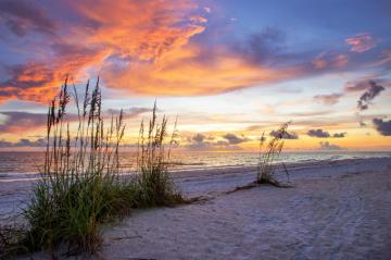 Everything You Need To Know For A Dreamy Florida Vacation On Marco