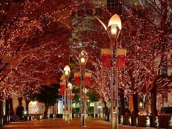 Background Wallpaper Beautiful Christmas Lights