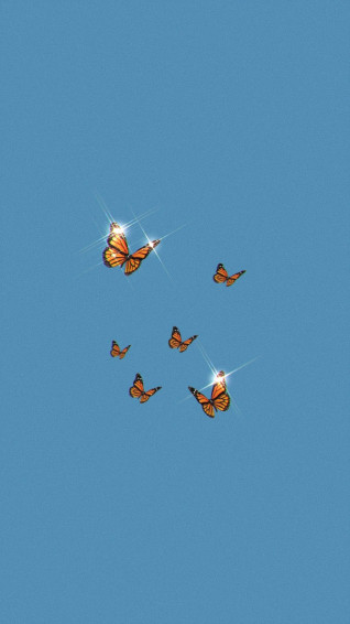 Butterfly Aesthetic Wallpaper