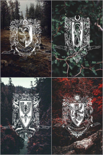 The Hogwarts Houses Wallpaper