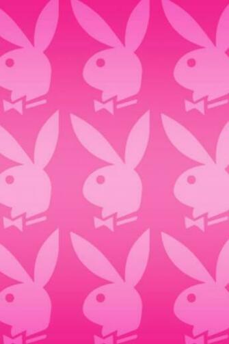 Pink Playboy Bunny iPhone Ipod Wallpaper Logo Wallpaperrs