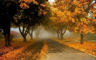 Wallpaper Beautiful Autumn Index