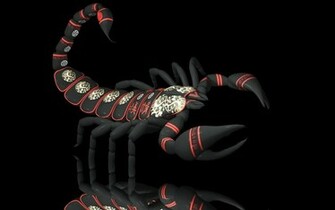 Scorpion Characters Asian Oriental Insect Fantasy Wallpaper Background