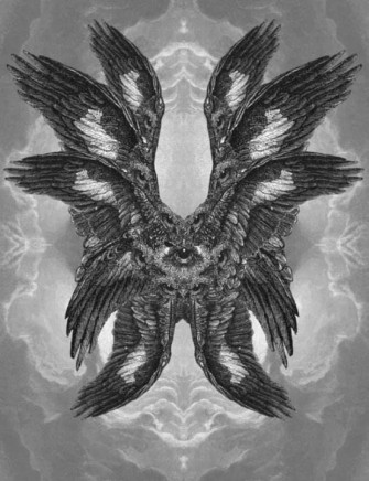 Thanks I Love Biblically Accurate Angels Be Not Afraid R Tili