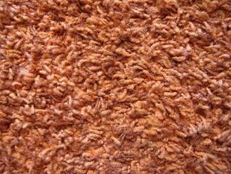 Shag Carpet By Reirei44