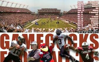 Gamecock Wallpaper