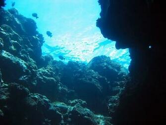 Under The Sea Ocean Background