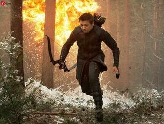Jeremy Renner Wallpaper High Resolution And Quality