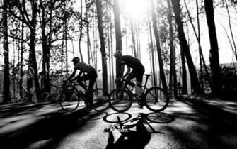 Rapha Wallpaper