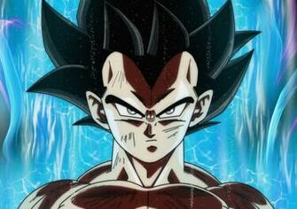 Dragon Ball Super Vegeta