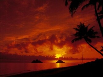 Natural Beauty Cool Wallpaper A Hope Cute Think