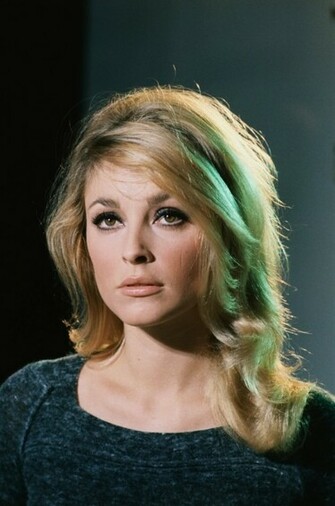 Sharon Tate Wallpaper Actress