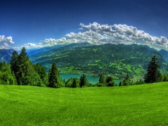 Galerie Wallpaper Suntem Sursa Ta Zilnica De Uri
