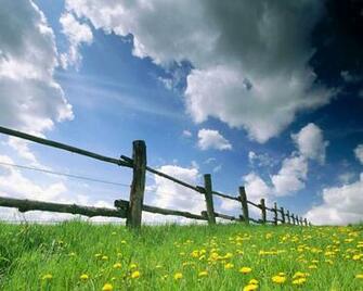 Spring Wallpaper Background