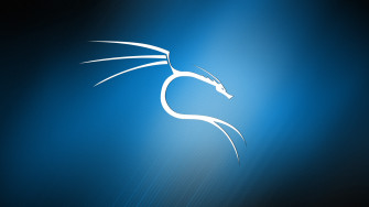 Kali Linux Background Wallpaper