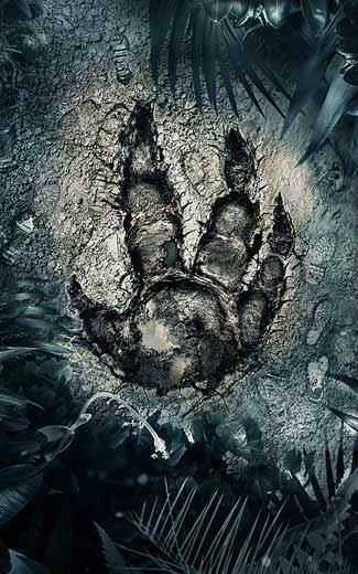 Evolve Wallpaper Or Desktop Background